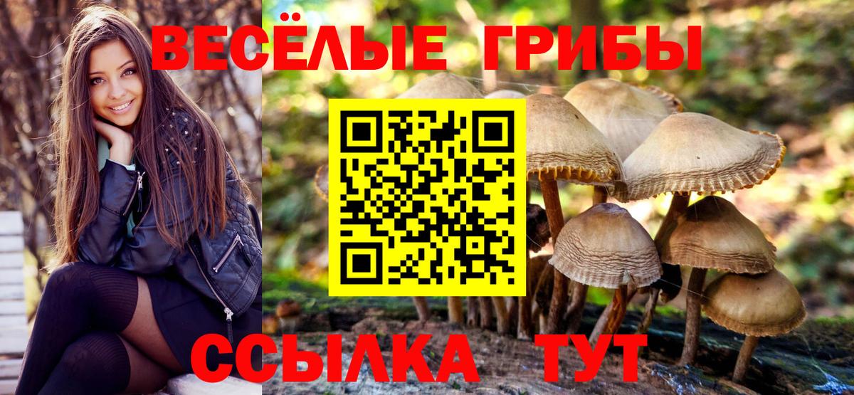 Галлюциногенные грибы Magic Shrooms Саратов